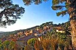 Camping - Le Lavandou - Provence-Alpes-Côte d'Azur - Lei Suves