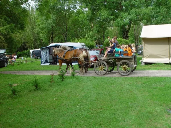 Camping - Montbarrey - Franche-Comté - Les 3 Ours
