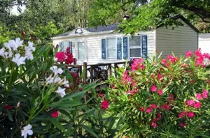 Camping - Argelès-sur-Mer - Languedoc-Roussillon - Les Abricotiers