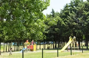 Camping - Argelès-sur-Mer - Languedoc-Roussillon - Les Abricotiers