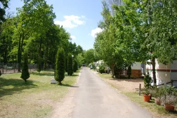 Camping - La Ville-aux-Dames - Grand Centre - Les Acacias