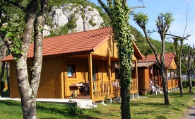 Camping - Berrias et Casteljau - Rhône-Alpes - Les Actinidias