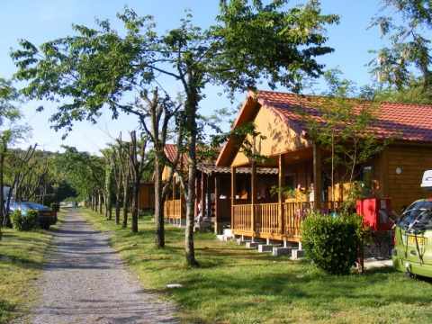 Camping - Berrias et Casteljau - Rhône-Alpes - Les Actinidias