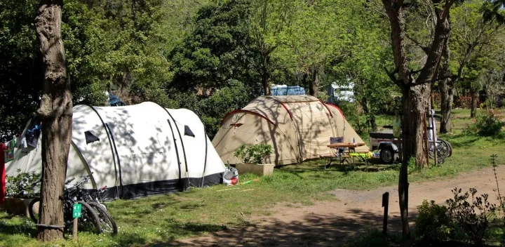 Camping - Collioure - Languedoc-Roussillon - Les Amandiers