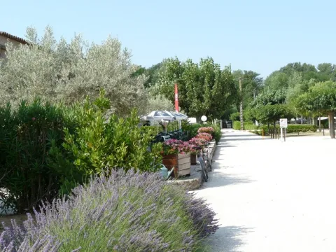 Camping - Cornillon - Languedoc-Roussillon - Les Amarines