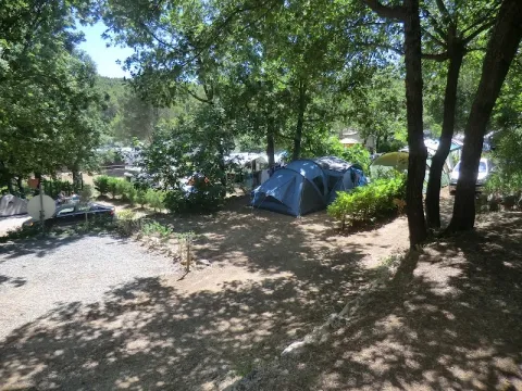 Camping - Callas - Provence-Alpes-Côte d'Azur - Domaine Villa Verde