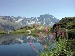 Camping - Neffes - Provence-Alpes-Côte d'Azur - Les Bonnets