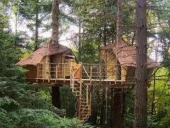 Camping - Saint-Julien-Labrousse - Rhône-Alpes - Les Cabanes de Labrousse