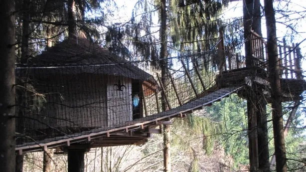 Camping - Saint-Gervais-d'Auvergne - Auvergne - les Cabanes des Combrailles