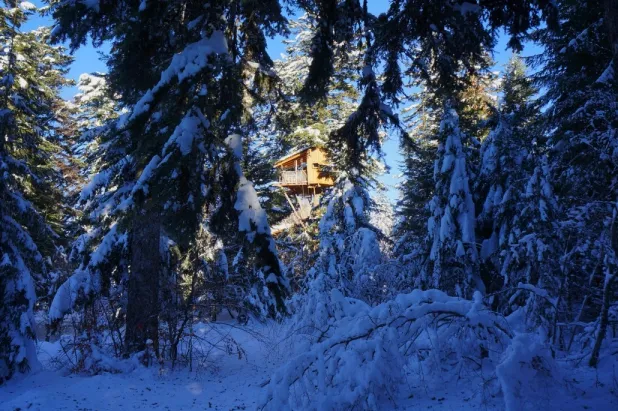 Camping - La Tour-d'Auvergne - Auvergne - Les Cabanes des Volcans