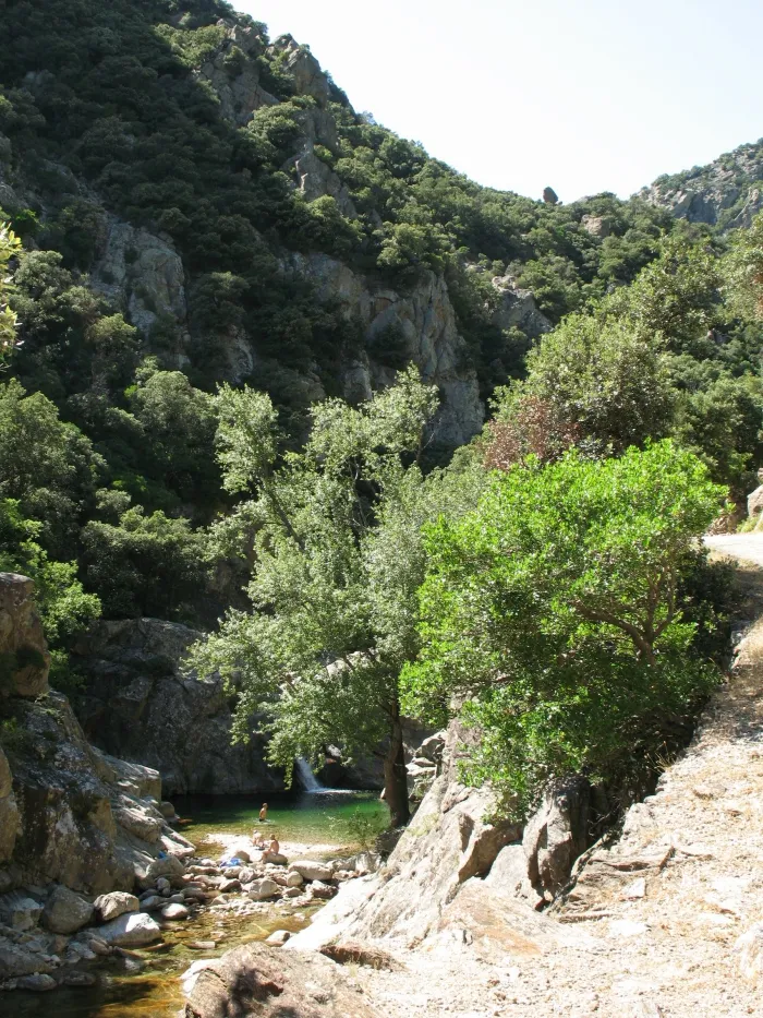 Camping - Saint-Pons de Thomières - Languedoc-Roussillon - Les Cerisiers du Jaur