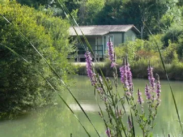 Camping - Chef-Boutonne - Poitou-Charentes - Les Chalets de la Héronnière