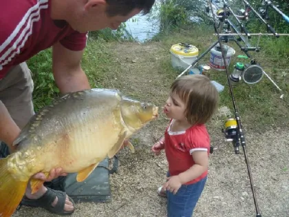 Camping - Chef-Boutonne - Poitou-Charentes - Les Chalets de la Héronnière