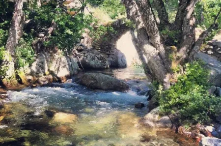 Camping - Lozzi - Corse - Les Chalets de Lozzi