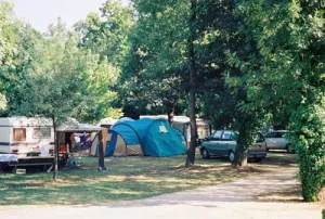 Camping - Girac - Midi-Pyrénées - Les Chalets sur la Dordogne