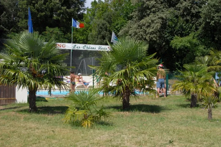 Camping - Meschers-sur-Gironde - Poitou-Charentes - Les Chenes Verts