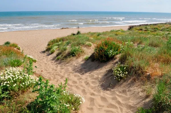 Camping - Vias - Languedoc-Roussillon - L'Occitan