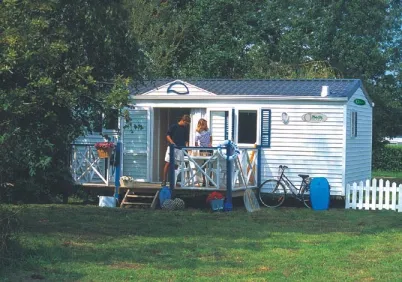 Camping - Mandelieu-la-Napoule - Provence-Alpes-Côte d'Azur - Les Cigales