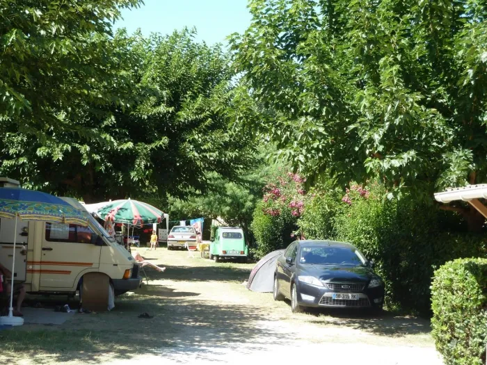 Camping - Le Lavandou - Provence-Alpes-Côte d'Azur - Les Citronniers