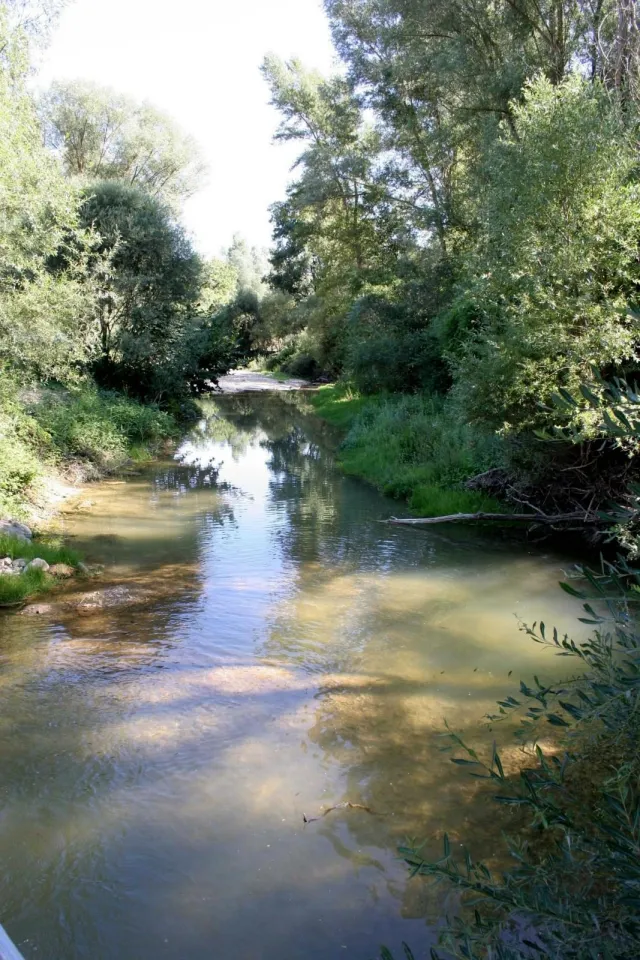 Camping - Lurs - Provence-Alpes-Côte d'Azur - Les Coccinelles