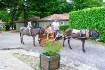 Camping - Ribes - Rhône-Alpes - Les Cruses