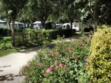 Camping - Millau - Midi-Pyrénées - Les Erables