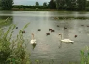 Camping - Garennes-sur-Eure - Haute-Normandie - Les Etangs du Parc