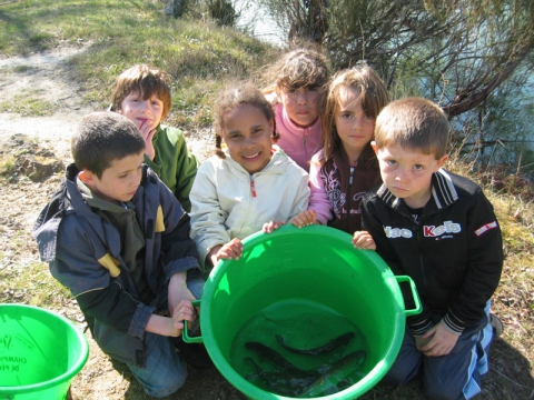 Camping - Saint-Sornin - Poitou-Charentes - Les Etangs Mina - Image #9