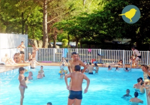 Camping - Anduze - Languedoc-Roussillon - Les Fauvettes - Image #4