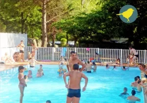 Camping - Anduze - Languedoc-Roussillon - Les Fauvettes