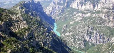 Camping - Montauroux - Provence-Alpes-Côte d'Azur - Les Floralies