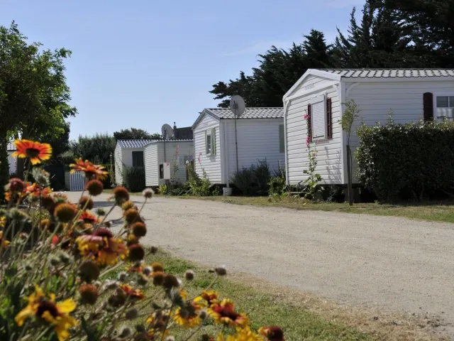 Camping - Saint-Pierre-d'Oléron - Poitou-Charentes - Les Flots Atlantique