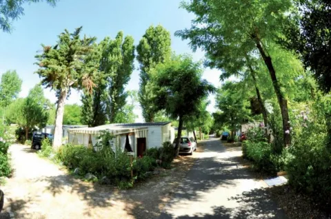Camping - Rivedoux-Plage - Poitou-Charentes - Les Fougères