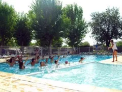 Camping - Antibes - Provence-Alpes-Côte d'Azur - Les Frênes