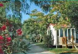 Camping - Argelès-sur-Mer - Languedoc-Roussillon - Les Galets