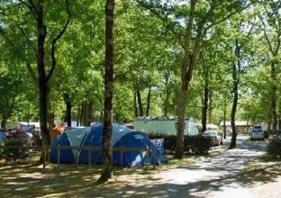 Camping - Soulac-sur-Mer - Aquitaine - Les Genêts