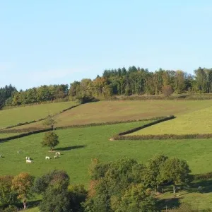 Camping - Ouroux-en-Morvan - Bourgogne - Les Genêts du Morvan