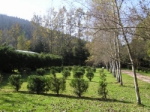 Camping - Gérardmer - Lorraine - Les Granges Bas