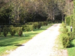 Camping - Gérardmer - Lorraine - Les Granges Bas