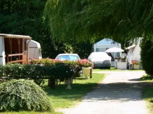 Camping - Chanas - Rhône-Alpes - Les Guyots