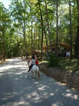 Camping - Monclar-de-Quercy - Midi-Pyrénées - Les Hameaux des Lacs