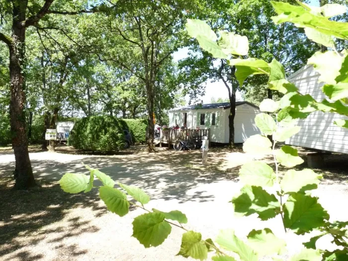 Camping - Loupiac - Midi-Pyrénées - Les Hirondelles