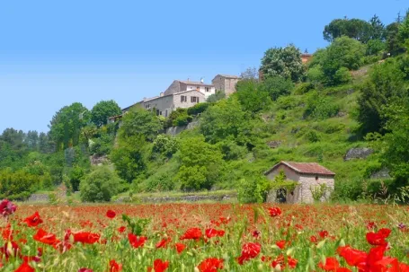 Camping - La Rosière - Rhône-Alpes - Les Hortensias