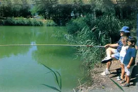 Camping - Cruas - Rhône-Alpes - Les Ilons