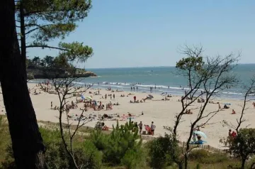 Camping - Meschers-sur-Gironde - Poitou-Charentes - Les Loges