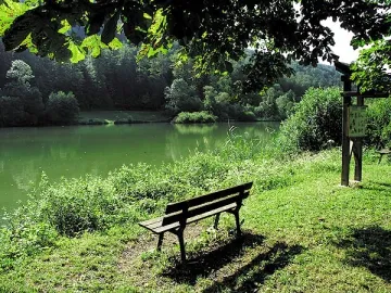 Camping - Seppois-le-Bas - Alsace - Les Lupins