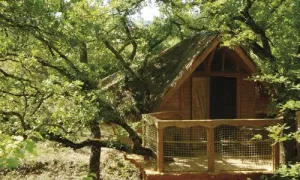 Camping - Sigonce - Provence-Alpes-Côte d'Azur - Les Maisons de Chante Oiseau