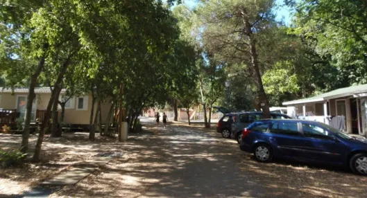 Camping - Sorède - Languedoc-Roussillon - Les Micocouliers