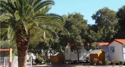 Camping - Sorède - Languedoc-Roussillon - Les Micocouliers