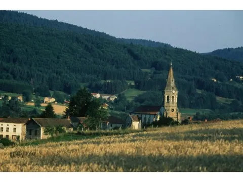 Camping - Saint-Clément-de-Valorgue - Auvergne - Les Narcisses